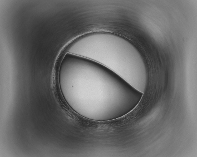 X0000113360388200909151011