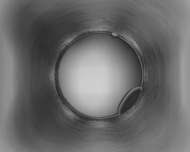 X0000113360389200909151011