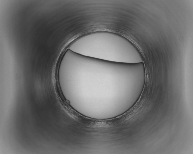 X0000113360390200909151011
