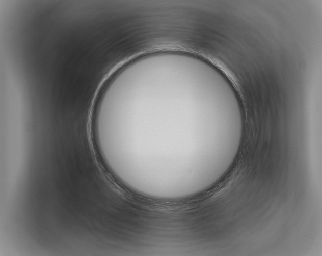 X0000113360391200909151011