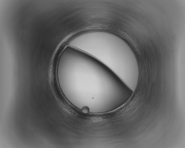 X0000113360392200909151011