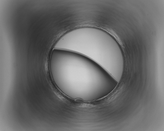 X0000113360393200909151011