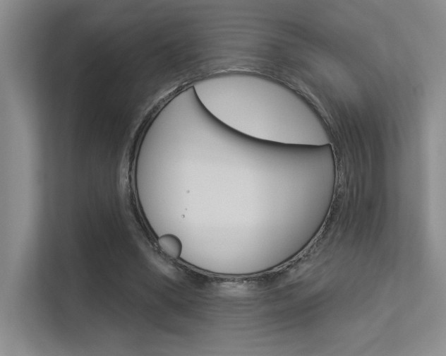 X0000113360394200909151011