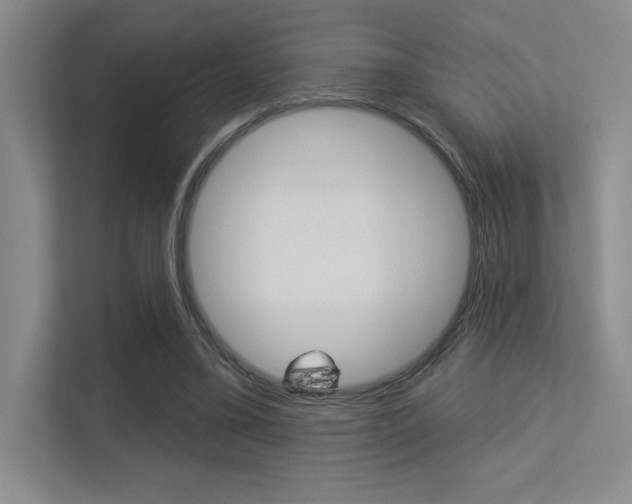X0000113360395200909151011