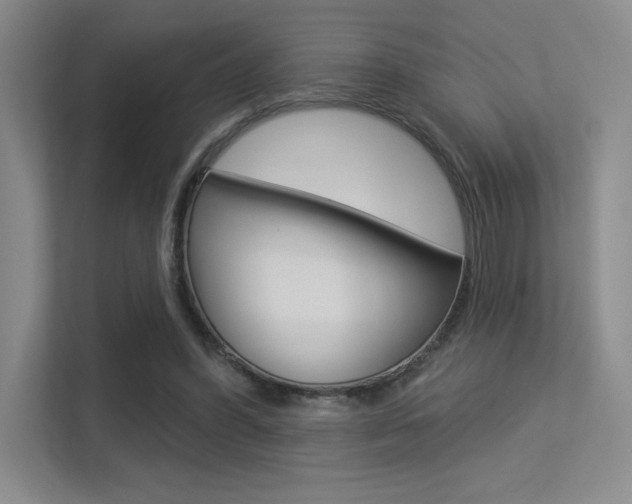 X0000113360396200909151011