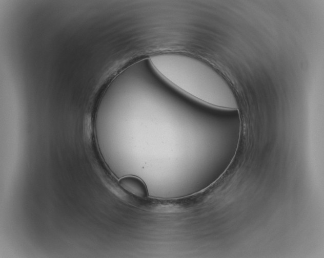 X0000113360397200909151011