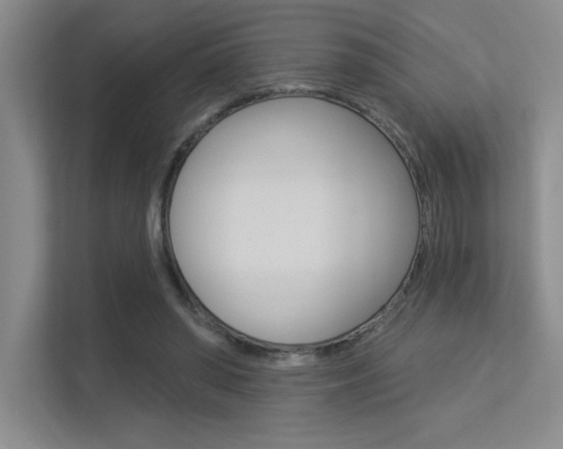 X0000113360398200909151010