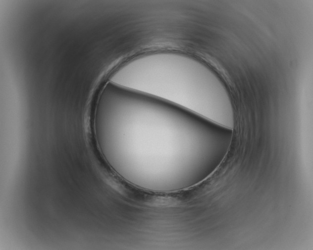 X0000113360399200909151010