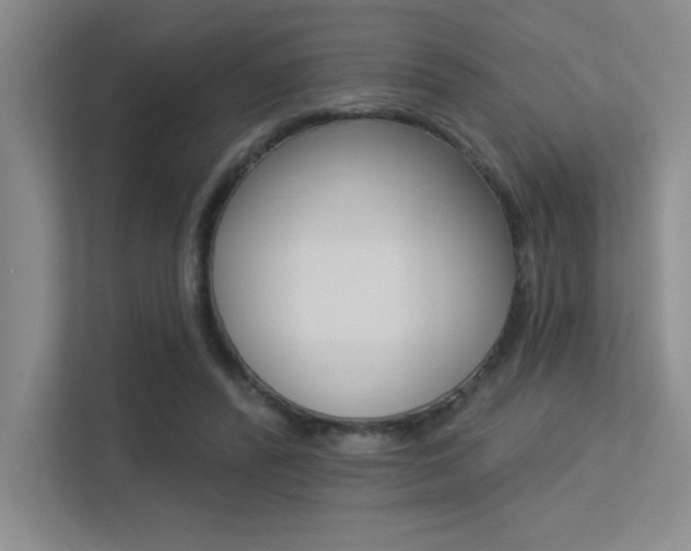 X0000113360400200909151010