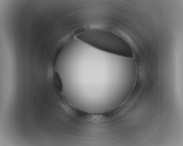 X0000113360401200909151010