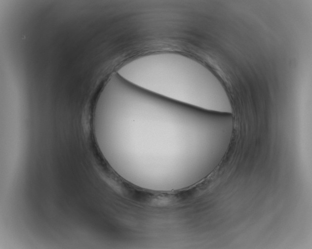 X0000113360402200909151010