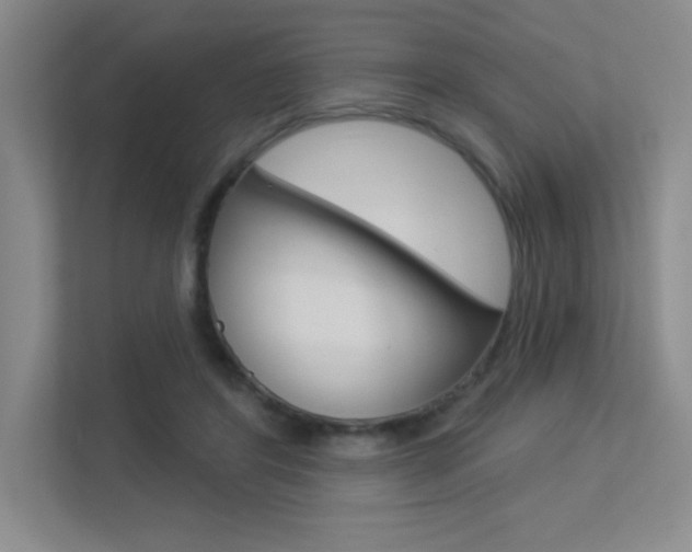 X0000113360404200909151010
