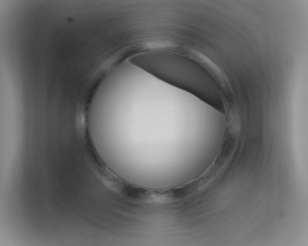 X0000113360405200909151010