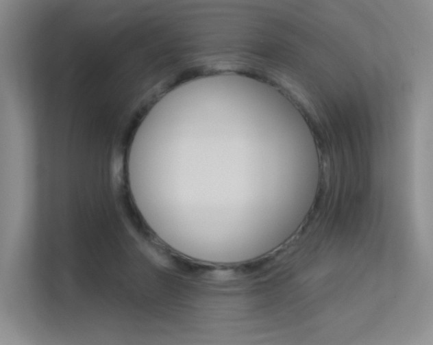 X0000113360406200909151010