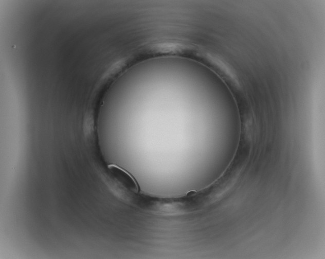 X0000113360407200909151010