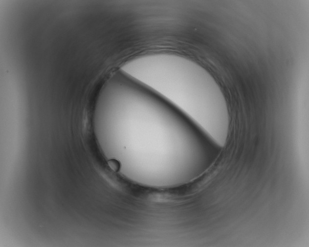 X0000113360408200909151010