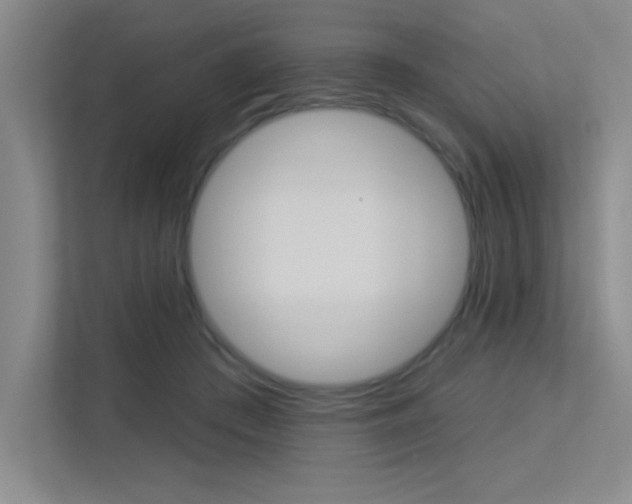 X0000113360409200909151010