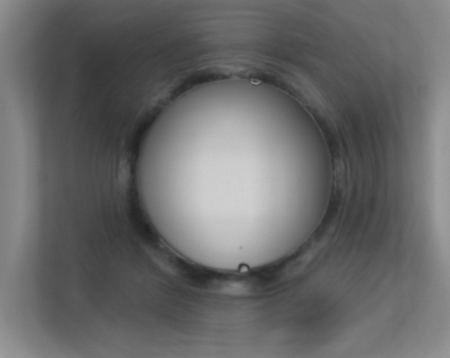 X0000113360412200909151010
