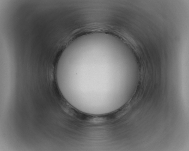 X0000113360413200909151010