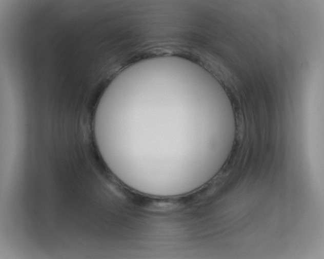 X0000113360414200909151010
