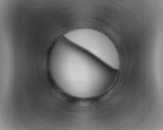 X0000113360416200909151010