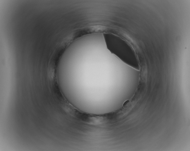 X0000113360417200909151010