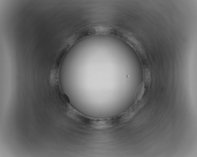 X0000113360419200909151010