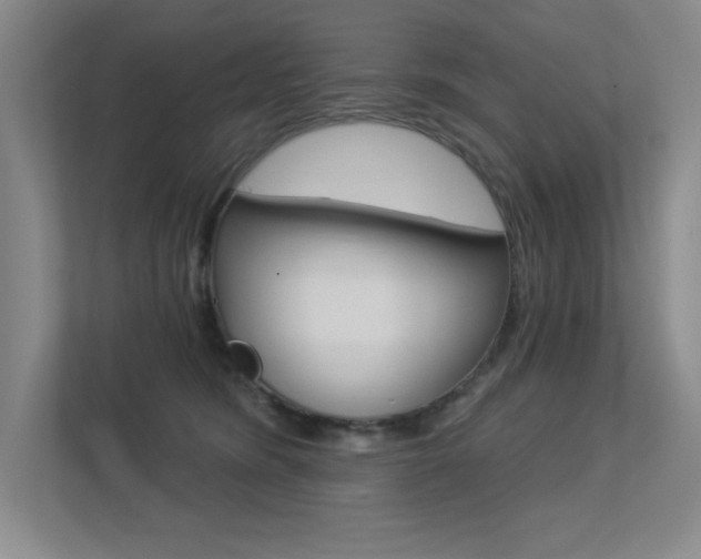 X0000113360420200909151010