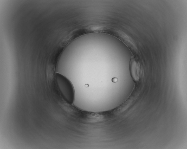 X0000113360421200909151010