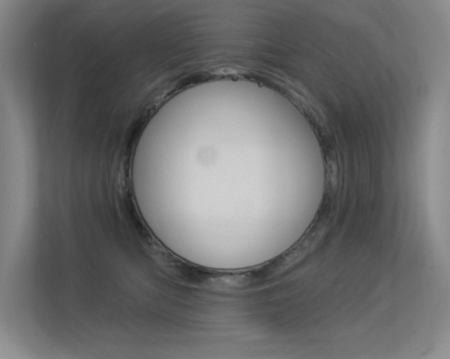 X0000113360422200909151010