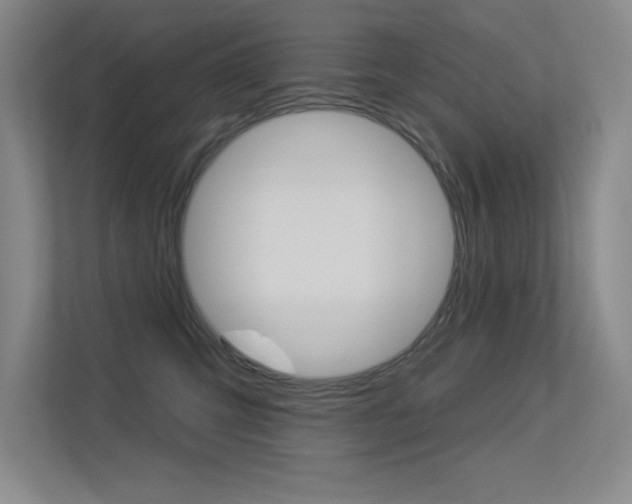 X0000113360423200909151010
