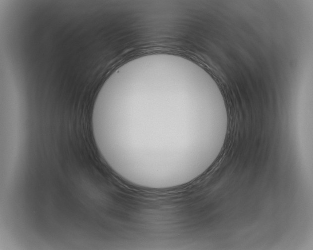 X0000113360425200909151010