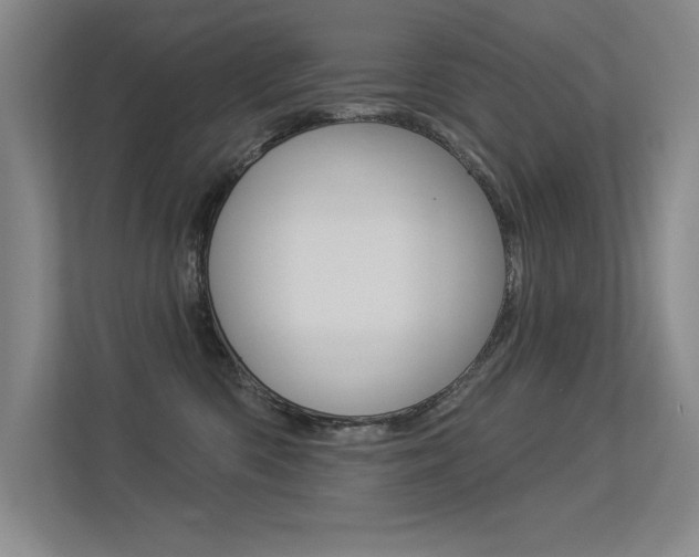 X0000113360426200909151010