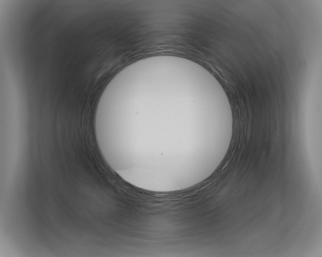 X0000113360427200909151010
