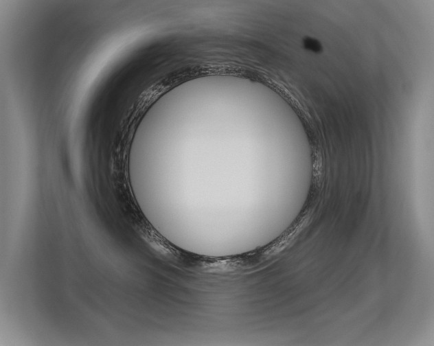 X0000113360430200909151010