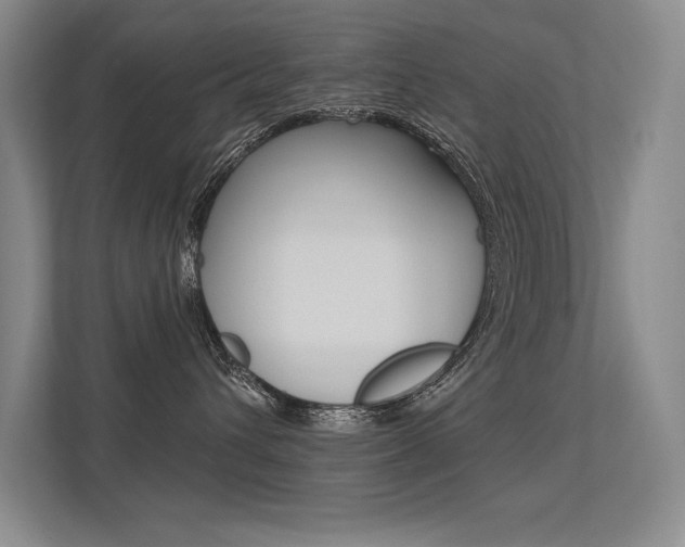 X0000113360432200909151010