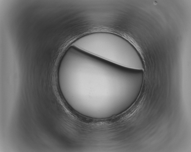 X0000113360433200909151009
