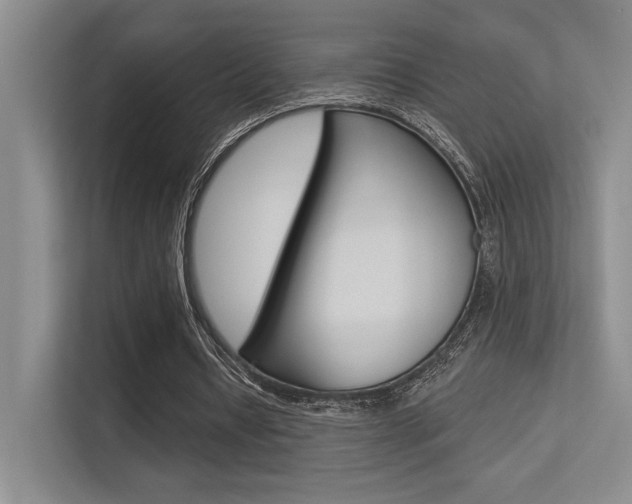 X0000113360434200909151009