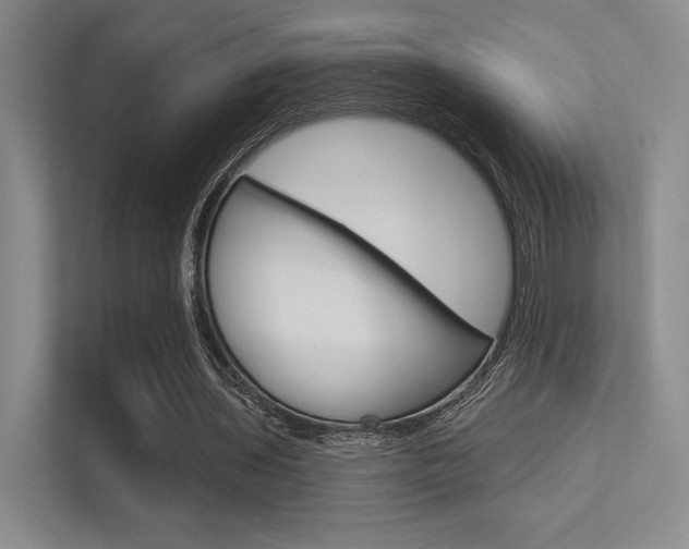 X0000113360435200909151009