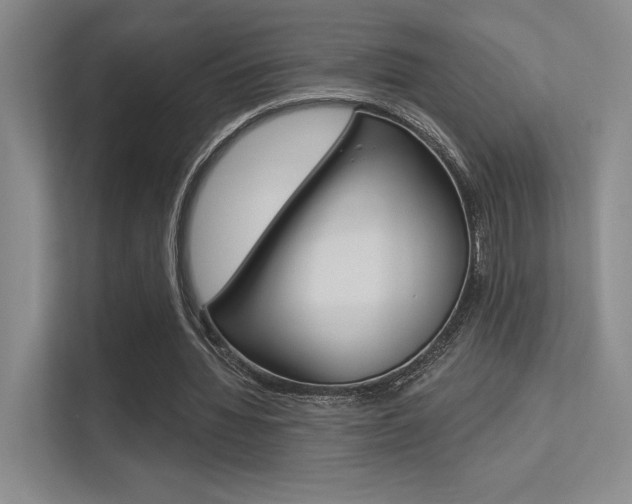 X0000113360436200909151009