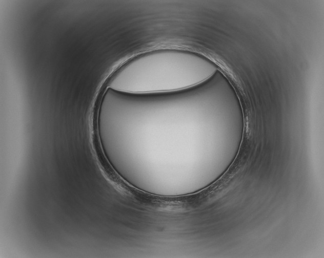 X0000113360438200909151009