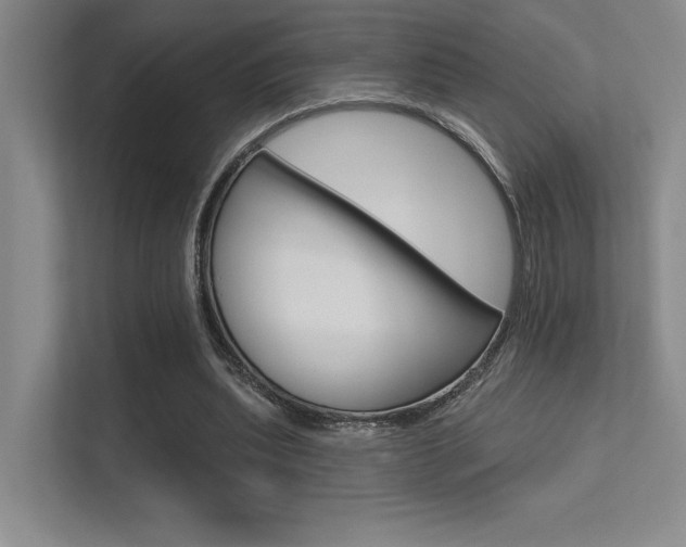 X0000113360439200909151010