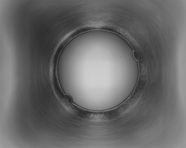 X0000113360440200909151010