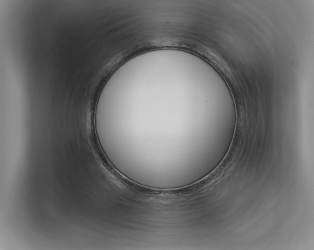 X0000113360441200909151010
