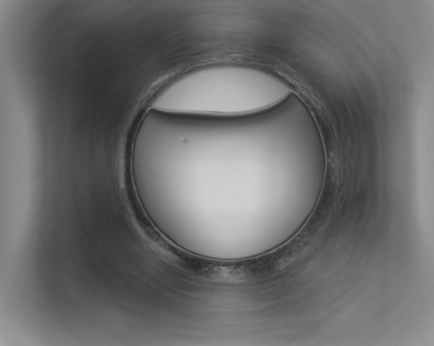 X0000113360442200909151010