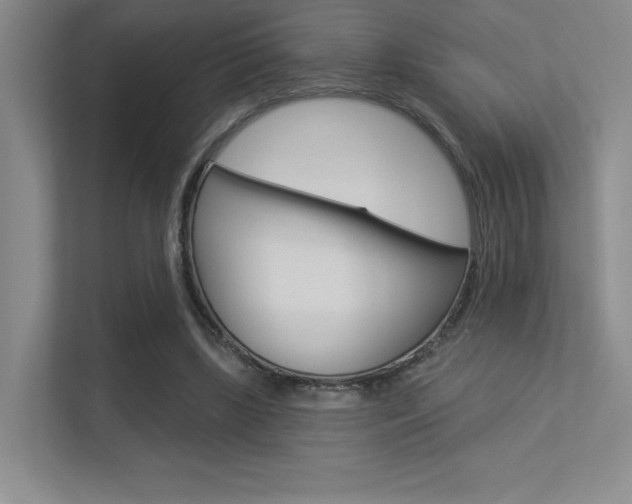 X0000113360443200909151010