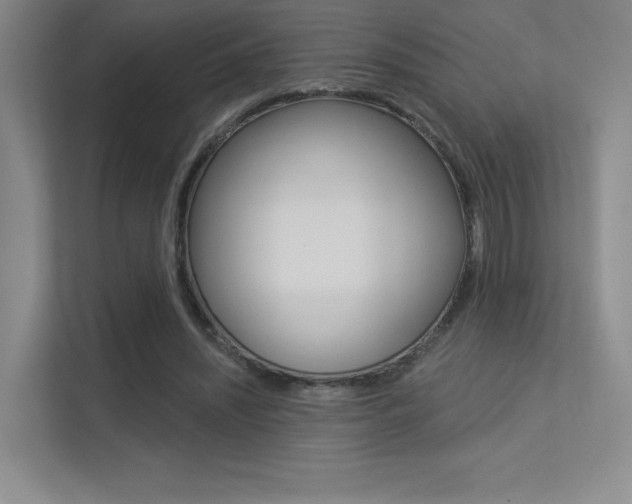 X0000113360444200909151010