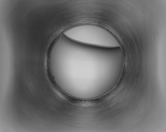 X0000113360445200909151010