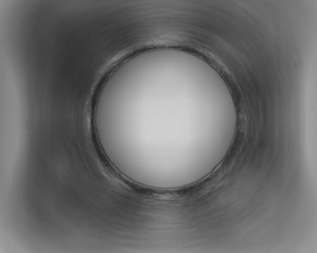 X0000113360446200909151010