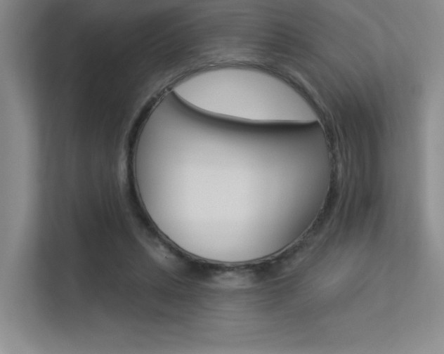X0000113360447200909151010